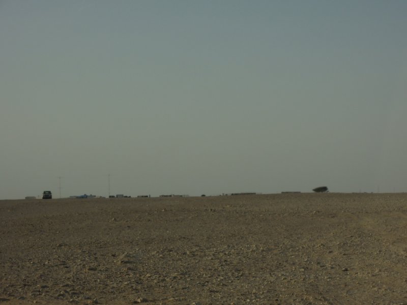 DSCN6465.JPG