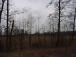 DSC01134