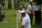 IMG_5748