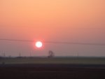 DSC01154