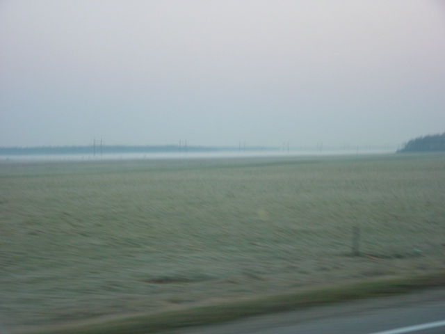 DSC01155