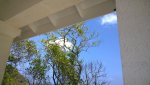 10m vibratorius medyje ir reflektorius ant kolonos