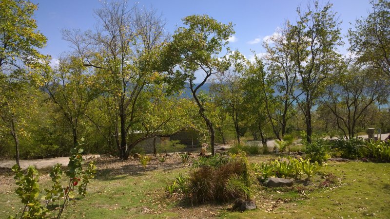Beveridzas apie 100m ilgio