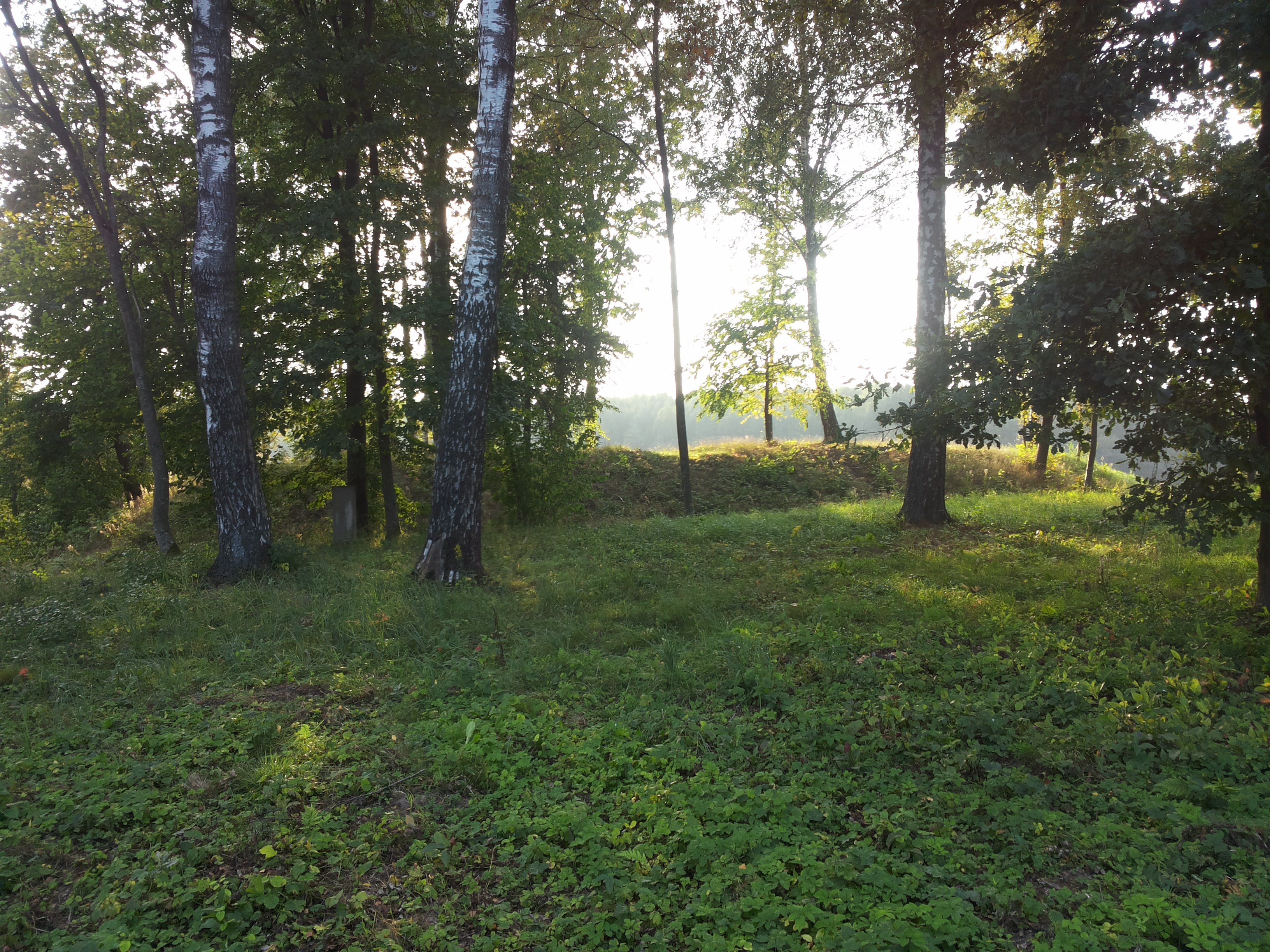 20140913_181548
