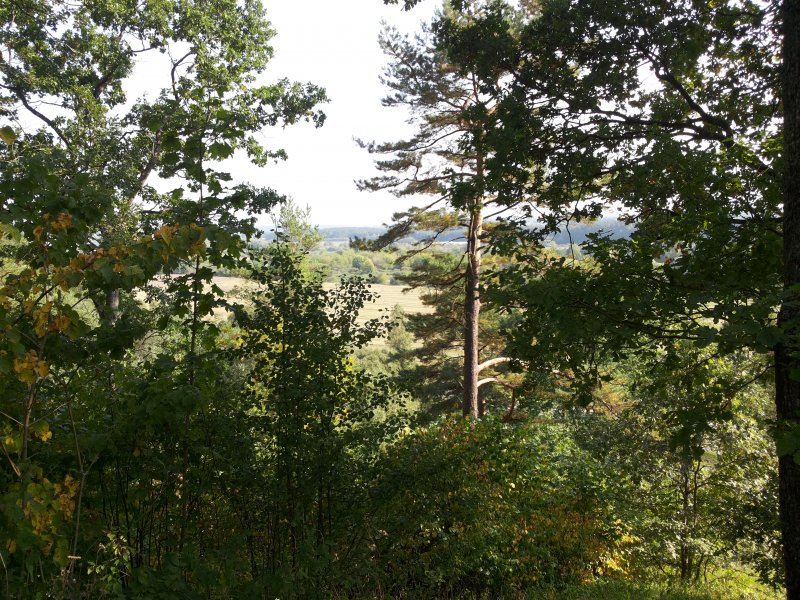 20140913_155202