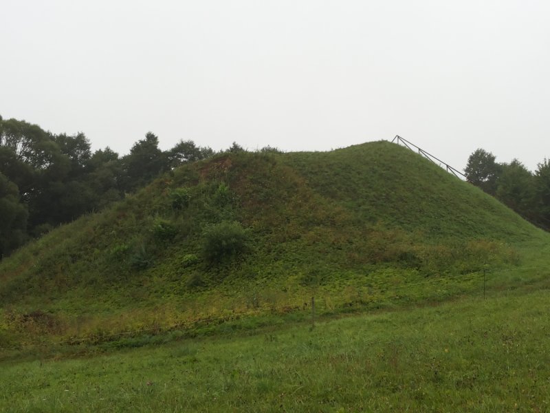 20140809_081941