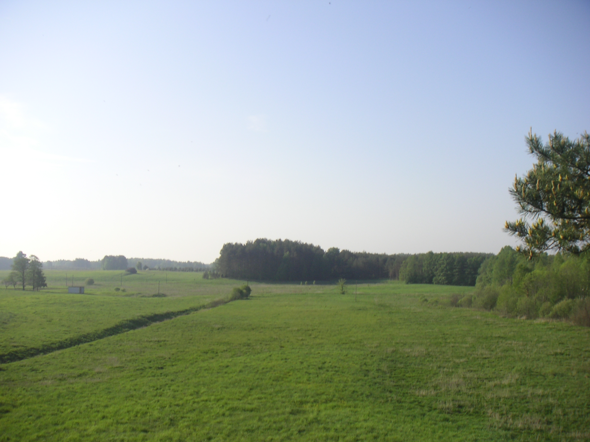 PICT0054