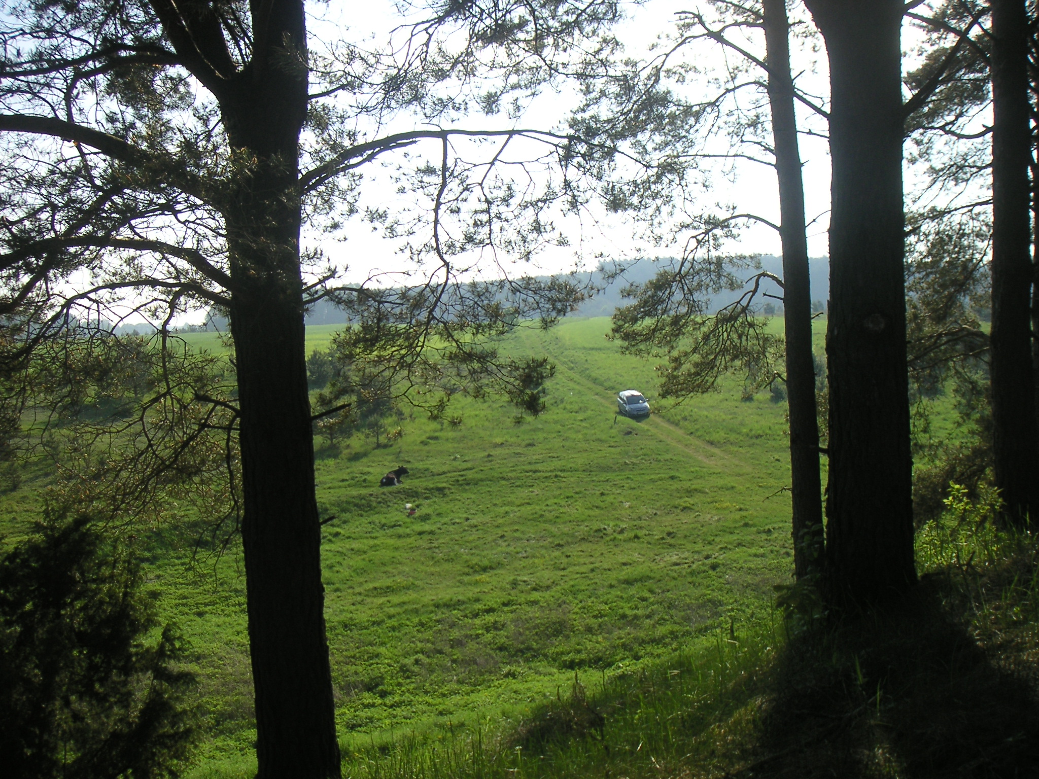 PICT0057