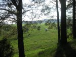 PICT0057