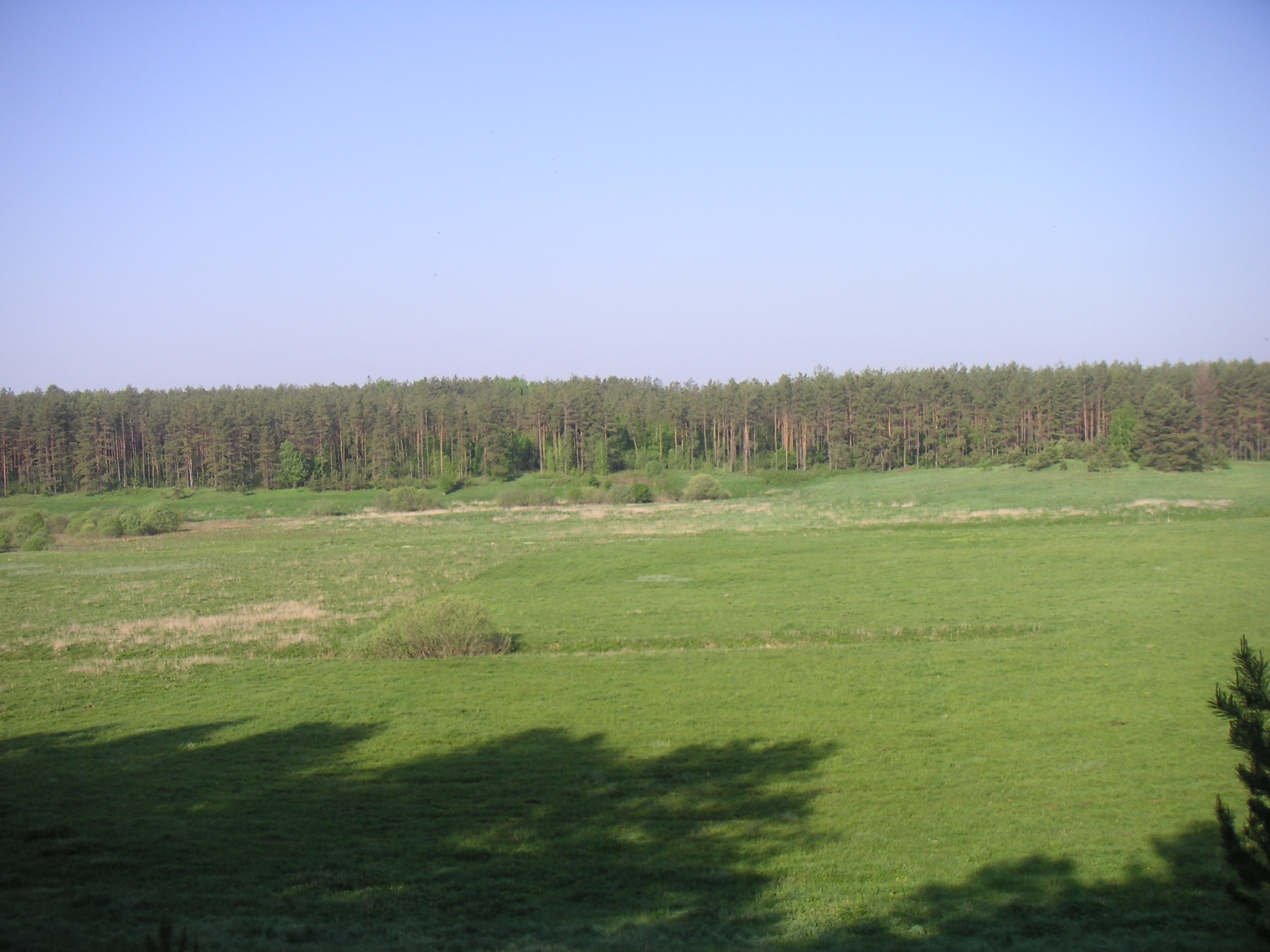 PICT0058