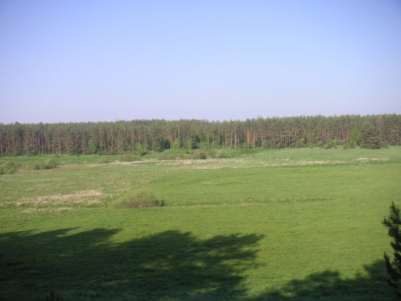 PICT0058