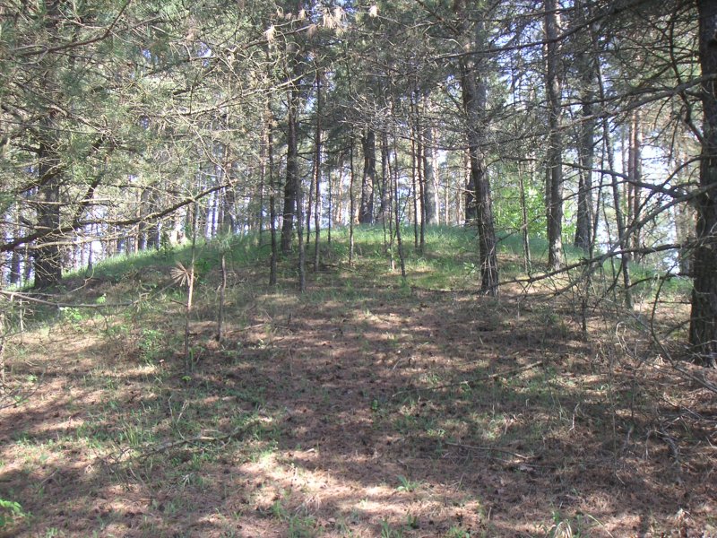 PICT0064