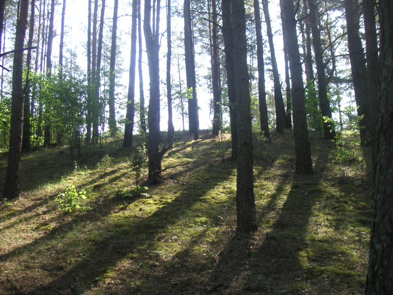 PICT0063