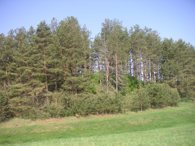 PICT0068