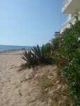 Casuzze