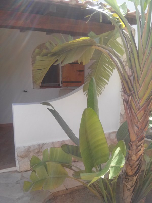 CAM01641