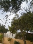 CAM01739