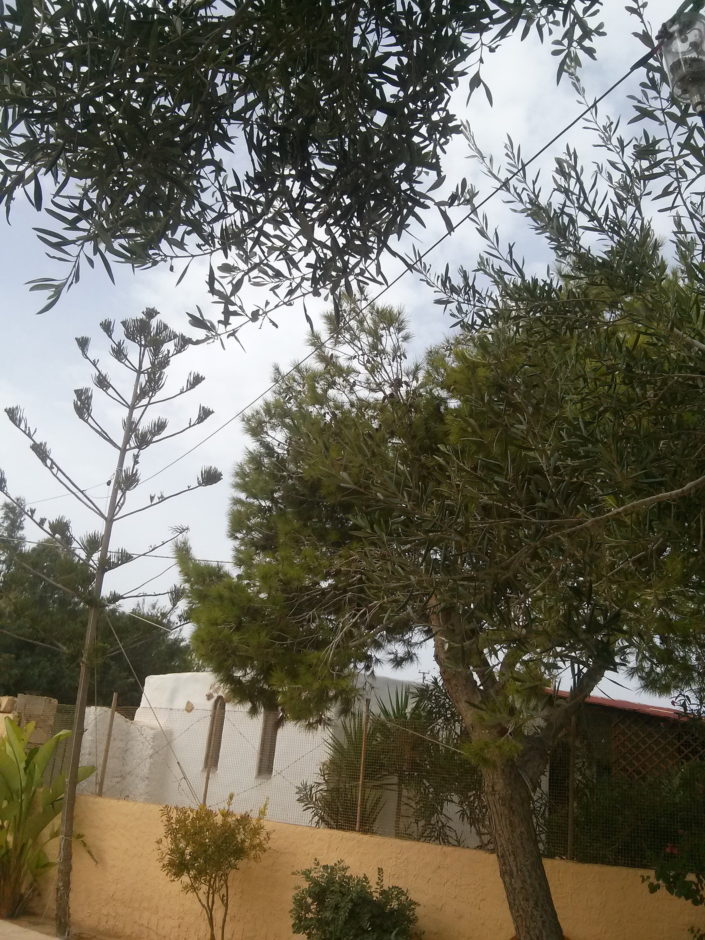 CAM01739
