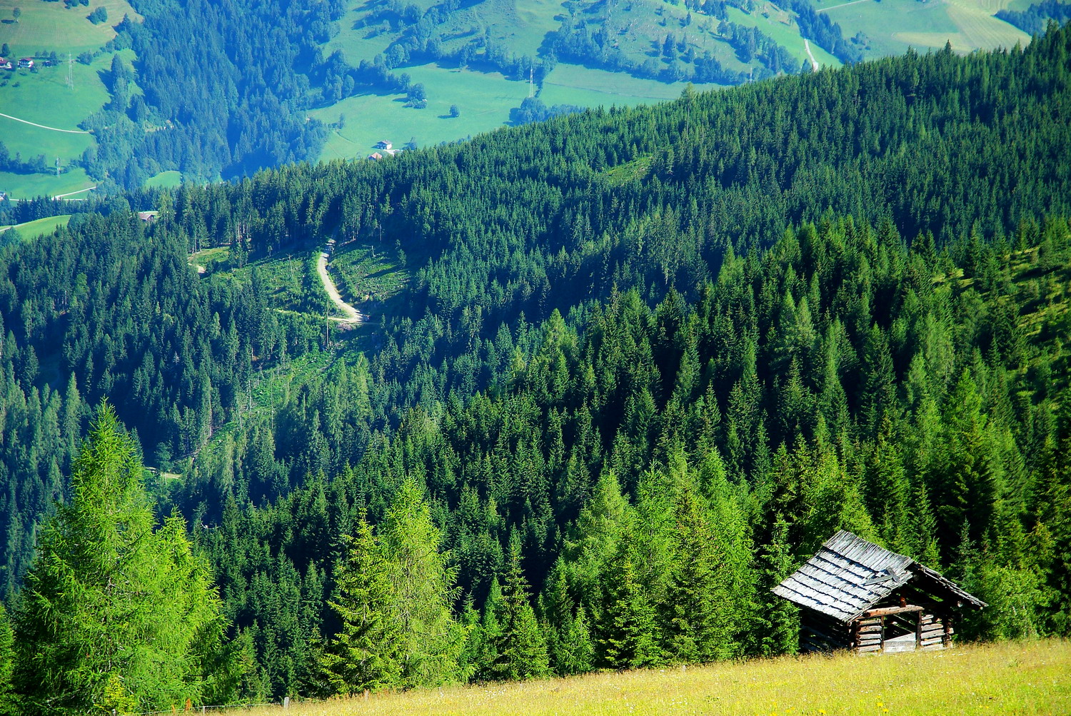 DSCF1750__resize