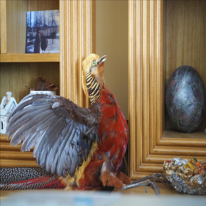 P7310153