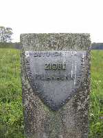 P05