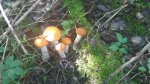 20160808_112238