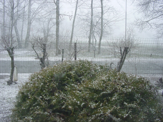 DSC01170