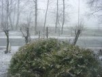 DSC01170