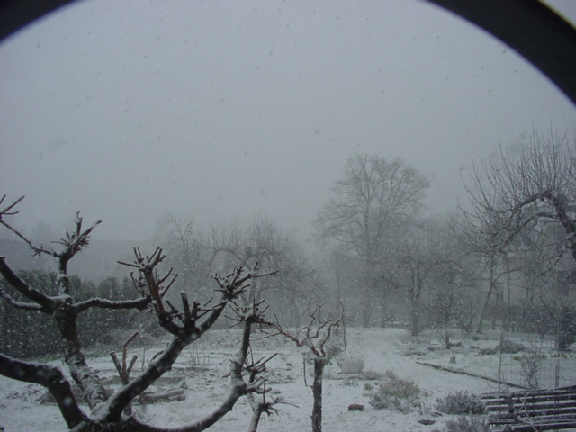 DSC01171