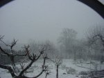DSC01171
