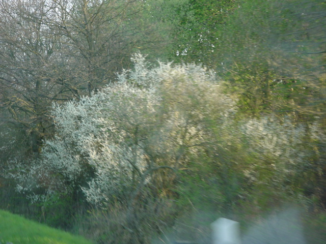 DSC01177