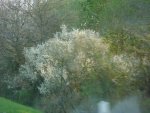 DSC01177
