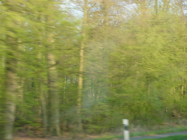DSC01178