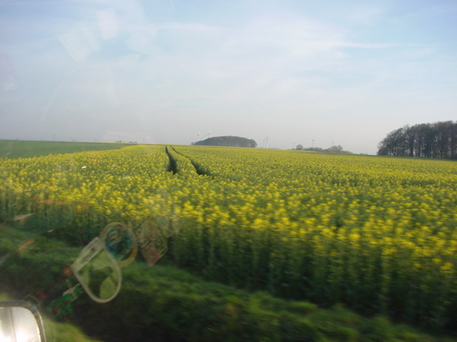 DSC01179