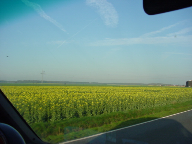 DSC01180