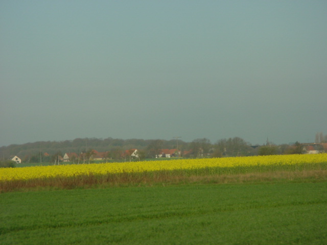 DSC01181