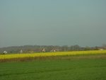 DSC01181