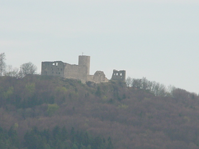 DSC01202