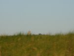 DSC01216