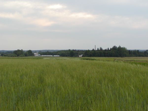 P7010007.JPG