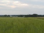 P7010007.JPG