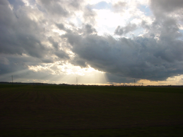 DSC01206