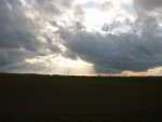 DSC01206