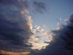 DSC01213