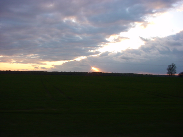 DSC01215