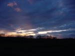 DSC01217