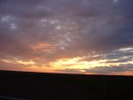 DSC01219