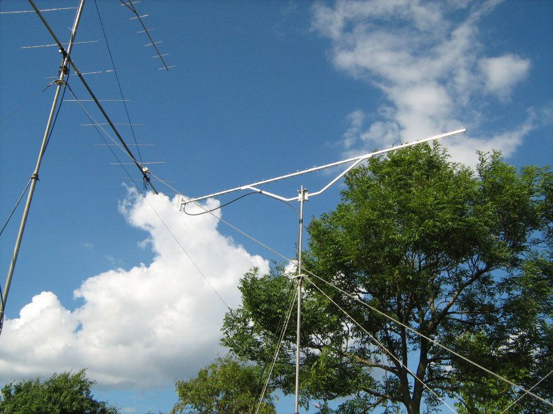 Lauko diena 011