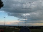 Lauko diena 015