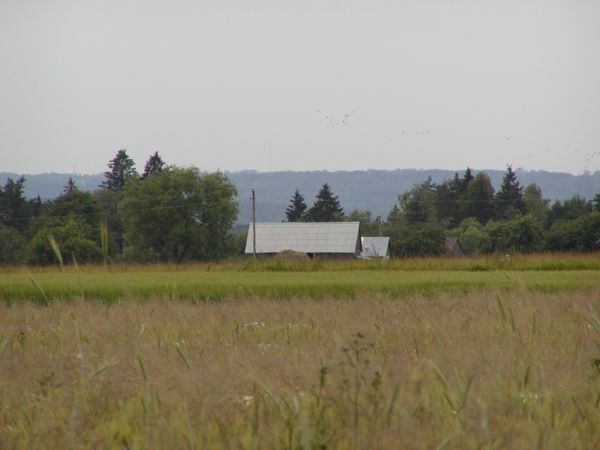 P7010017.JPG